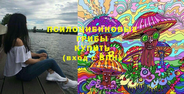 ПСИЛОЦИБИНОВЫЕ ГРИБЫ Балабаново