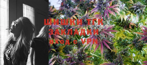 ПСИЛОЦИБИНОВЫЕ ГРИБЫ Балабаново