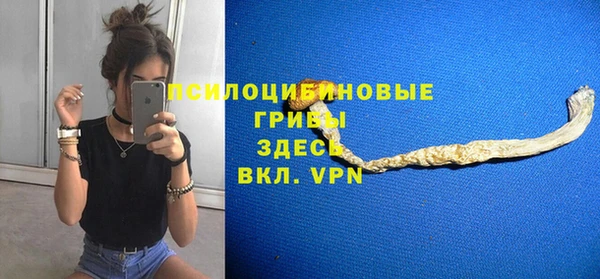 ПСИЛОЦИБИНОВЫЕ ГРИБЫ Балабаново